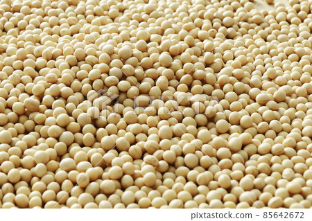 Soybean soybean Soybean soybean 85642672