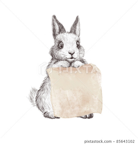 Hand drawn watercolor illustration with cute adorable bunny character hold piece of textured paper for text message isolated. For Valentines day cards, prints, banners, posters, invitations. Hand drawn watercolor illustration with cute adorable bunny character hold piece of textured paper for text message isolated. For Valentines day cards, prints, banners, posters, invitations. 85643102