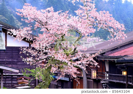 Spring Tsumagojuku Spring Tsumagojuku 85643104