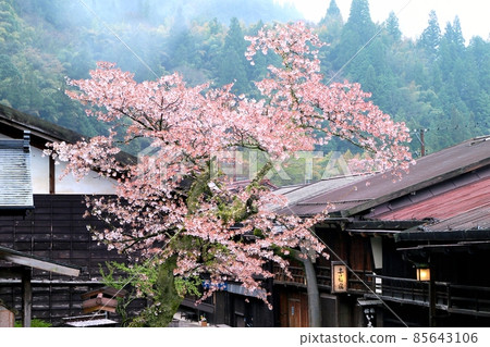 Spring Tsumagojuku Spring Tsumagojuku 85643106