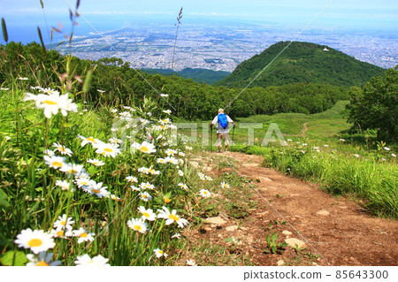 夏天在山上 夏天在山上 85643300