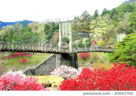 Momosuke橋 Momosuke橋 85643708