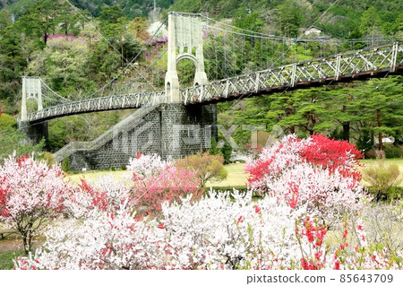 Momosuke Bridge 85643709