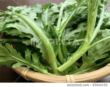 竹盤裡剛採摘的花環菊花 照片素材 85644158