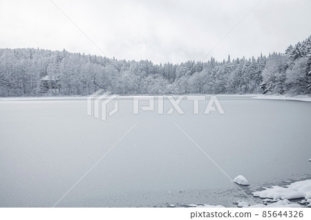 Freezing Sanbonkinuma 85644326