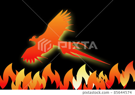 Fire bird Fire bird 85644574