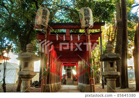 Itokuinari Shrine in Hanazono Shrine in Shinjuku, Tokyo Itokuinari Shrine in Hanazono Shrine in Shinjuku, Tokyo 85645380
