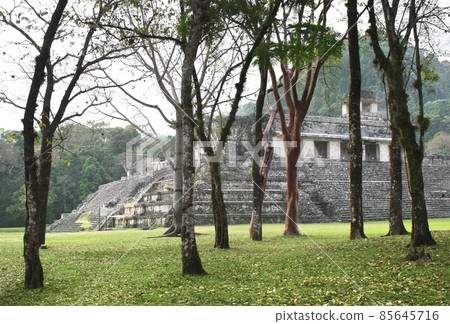 Ancient stepped pyramid at the pre-Columbian Maya civilization, Palenque, Chiapas, Mexico Ancient stepped pyramid at the pre-Columbian Maya civilization, Palenque, Chiapas, Mexico 85645716