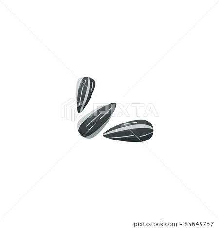 Three sunflower seeds, isolated vector illustration. Whole sunflower seeds in black shell, cartoon style. Three sunflower seeds, isolated vector illustration. Whole sunflower seeds in black shell, cartoon style. 85645737