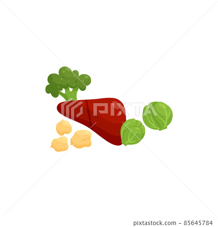 Foods rich in vitamin B9 such as liver and cabbage vector illustration isolated. 85645784