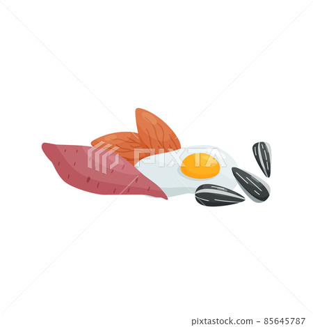 Healthy food - sweet potato, egg, sunflower seed and almond nut, flat vector illustration isolated on white background. 85645787