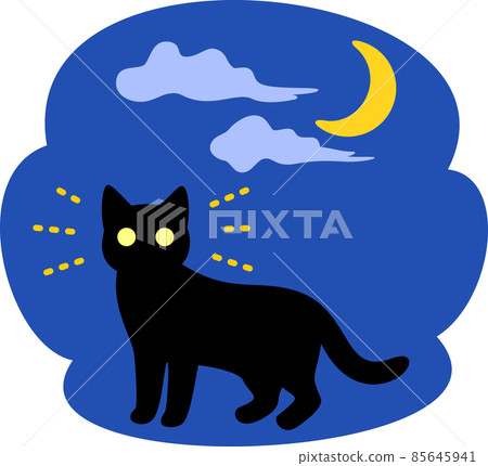A cat with shining eyes and the night sky A cat with shining eyes and the night sky 85645941
