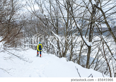 雪鞋徒步圖（溫原湖周邊） 85645966