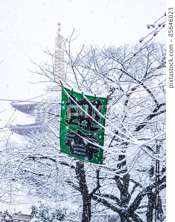 淺草雪景 85646023