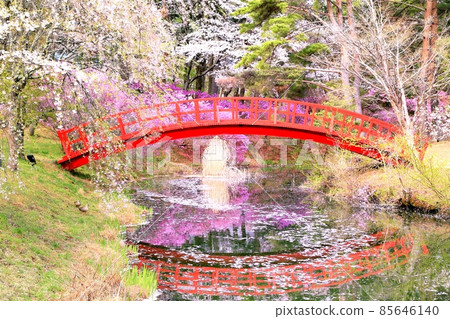 春天的間水塚公園 85646140