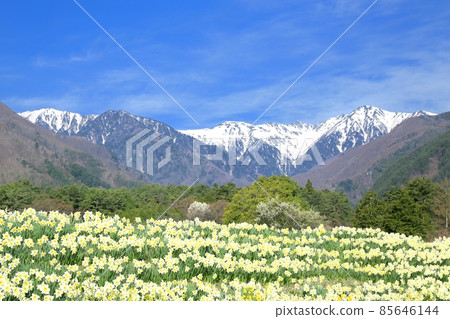 迪斯科和中阿爾卑斯山 85646144