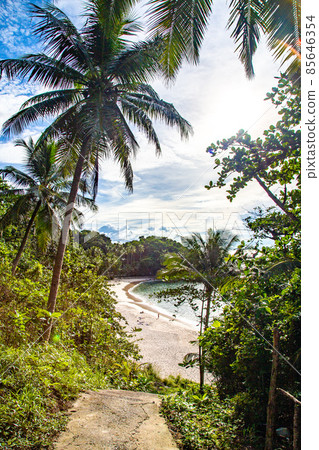 Freedom beach secret beach in Phuket Thailand Freedom beach secret beach in Phuket Thailand 85646354