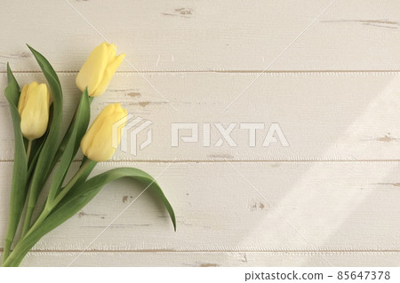 春天框架 3 快樂黃色鬱金香 85647378