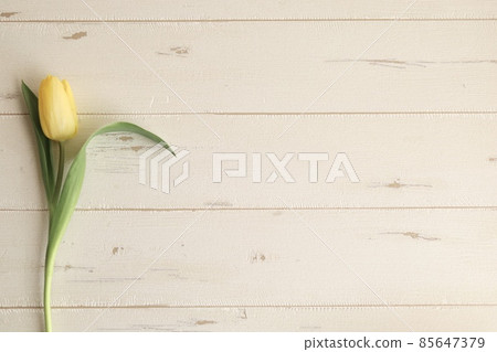 Spring frame, a happy yellow tulip 85647379