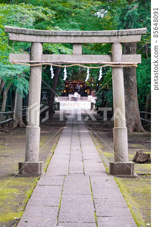Kitami Hikawa Shrine (Kitami, Setagaya-ku, Tokyo) 85648091