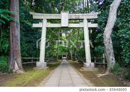 Kitami Hikawa Shrine (Kitami, Setagaya-ku, Tokyo) 85648095