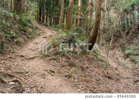 栃木100名山、大小山景、登山路線 栃木100名山、大小山景、登山路線 85648300