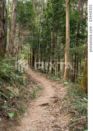 栃木100名山、大小山景、登山路線 栃木100名山、大小山景、登山路線 85648301