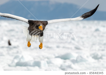 Shiretoko winter 85648345