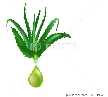 Aloe vera medicinal plant leaves cuttings and juice drops elements collection. 85649372