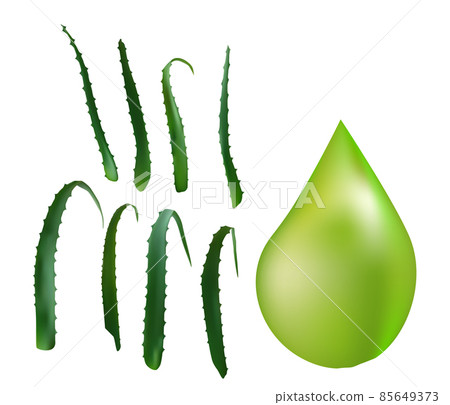 Aloe vera medicinal plant leaves cuttings and juice drops elements collection. Aloe vera medicinal plant leaves cuttings and juice drops elements collection. 85649373