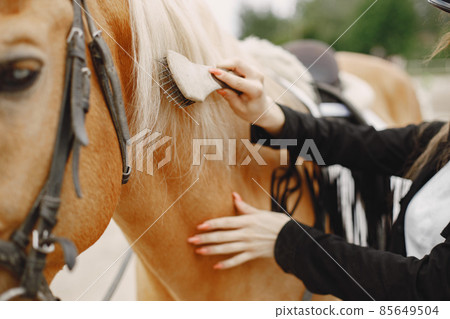 Picture of woman's hand combing a horse Picture of woman's hand combing a horse 85649504