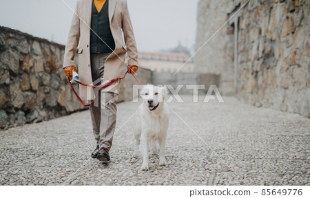 Low section of elegant senior man walking his dog outdoors in city. 85649776