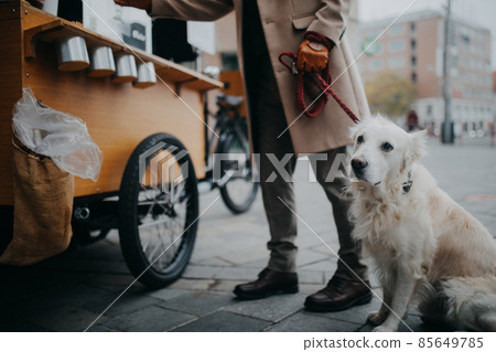 Low section of elegant senior man walking his dog and buiyng street food outdoors in city. Low section of elegant senior man walking his dog and buiyng street food outdoors in city. 85649785