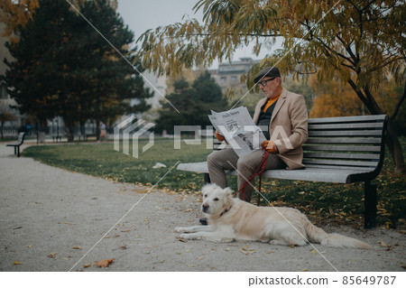 Happy senior man sitting on bench and reading newspaper during dog walk outdoors in park in city. Happy senior man sitting on bench and reading newspaper during dog walk outdoors in park in city. 85649787