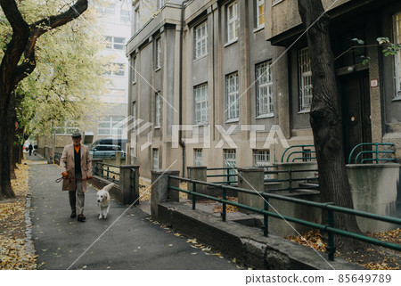 Distant view of elegant senior man walking his dog outdoors in city in winter. 85649789