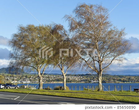 Lake Taupo, New Zealand / Ruapehu Street, Taupo, New Zealand Lake Taupo, New Zealand / Ruapehu Street, Taupo, New Zealand 85650890