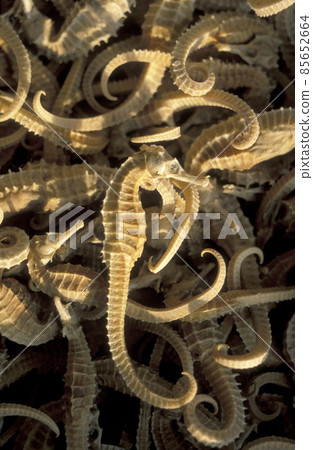 CHINA XIAN CHINESE MEDICINE MARKET 85652664