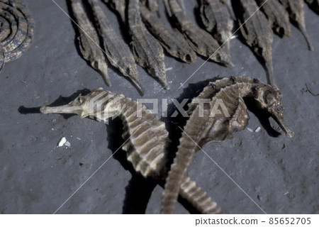 CHINA XIAN CHINESE MEDICINE MARKET CHINA XIAN CHINESE MEDICINE MARKET 85652705