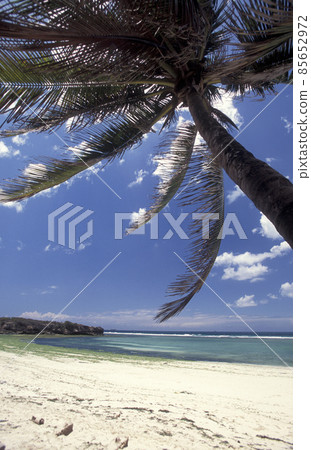 ZANZIBAR BWEJUU EASTCOAST LANDSCAPE 85652972