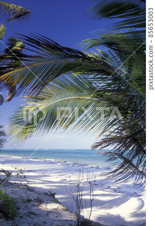 ZANZIBAR BWEJUU EASTCOAST LANDSCAPE ZANZIBAR BWEJUU EASTCOAST LANDSCAPE 85653003