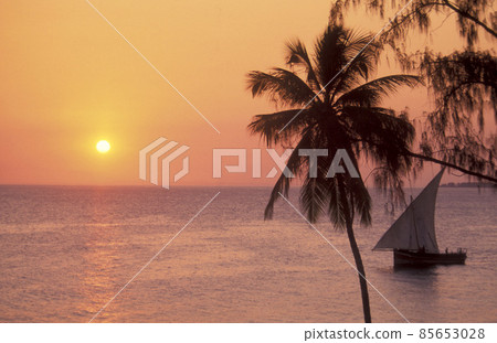 ZANZIBAR STONE TOWN DHONI 85653028