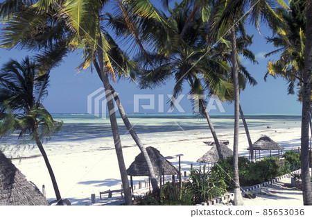 ZANZIBAR BWEJUU EASTCOAST LANDSCAPE 85653036