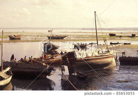 ZANZIBAR STONE TOWN FISH HARBOR 85653055
