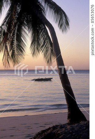 ZANZIBAR BWEJUU EASTCOAST LANDSCAPE ZANZIBAR BWEJUU EASTCOAST LANDSCAPE 85653076