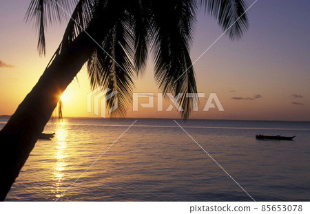 ZANZIBAR BWEJUU EASTCOAST LANDSCAPE 85653078