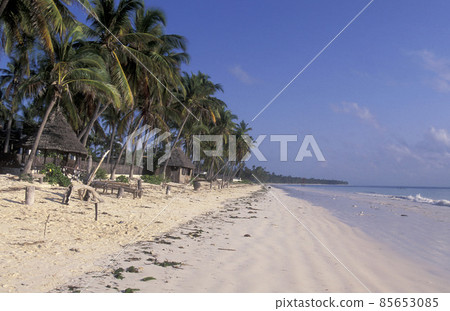 ZANZIBAR BWEJUU EASTCOAST LANDSCAPE ZANZIBAR BWEJUU EASTCOAST LANDSCAPE 85653085