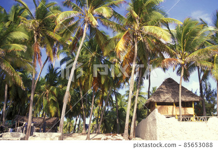 ZANZIBAR BWEJUU EASTCOAST LANDSCAPE ZANZIBAR BWEJUU EASTCOAST LANDSCAPE 85653088