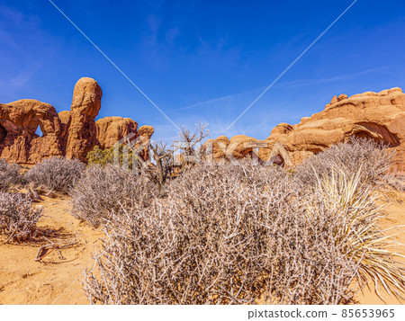 Panoramic picture of natural and geological wonders of Arches national park in Utah in winter 85653965