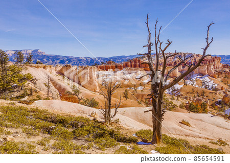 Picture of Bryce Canyon in Utah in winter during daytime 85654591