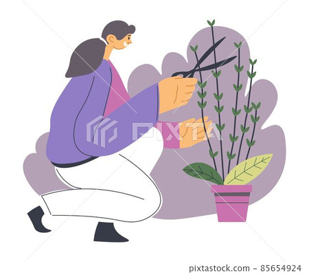 Woman gardening and trimming bushes of flower 85654924
